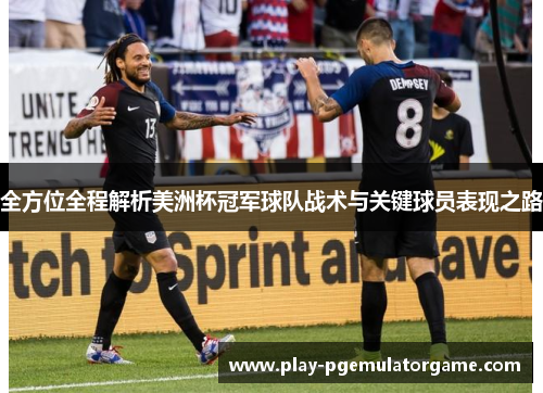 全方位全程解析美洲杯冠军球队战术与关键球员表现之路