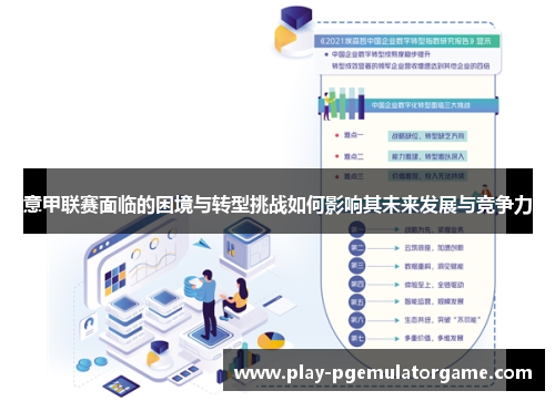 意甲联赛面临的困境与转型挑战如何影响其未来发展与竞争力