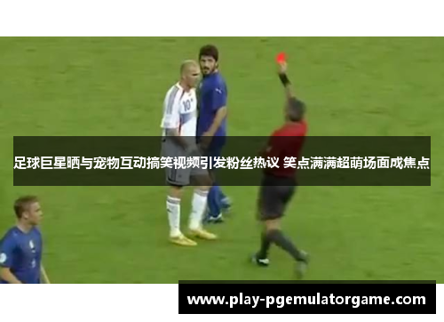 足球巨星晒与宠物互动搞笑视频引发粉丝热议 笑点满满超萌场面成焦点
