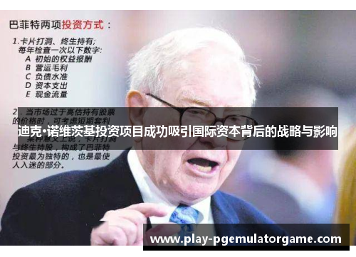 迪克·诺维茨基投资项目成功吸引国际资本背后的战略与影响